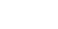 Denodo Technologies