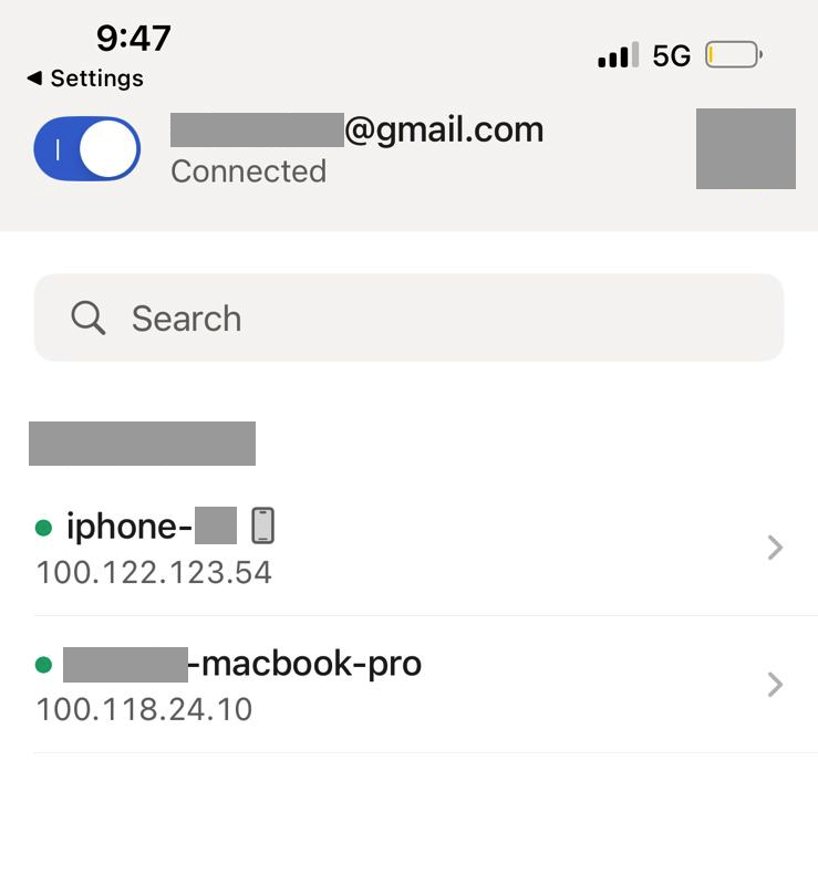 Tailscale connected devices