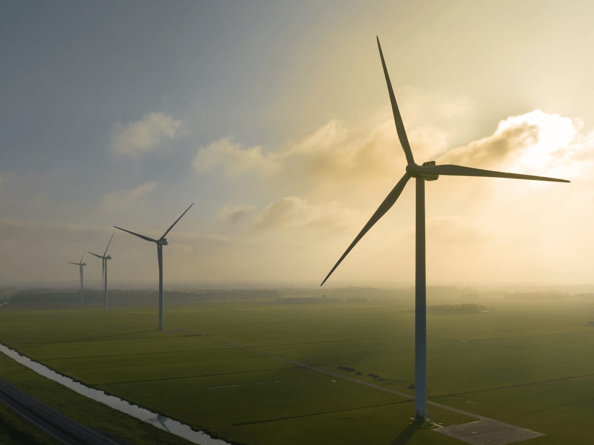 Missing alt text value