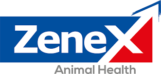 Missing alt text value