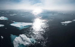 Missing alt text value