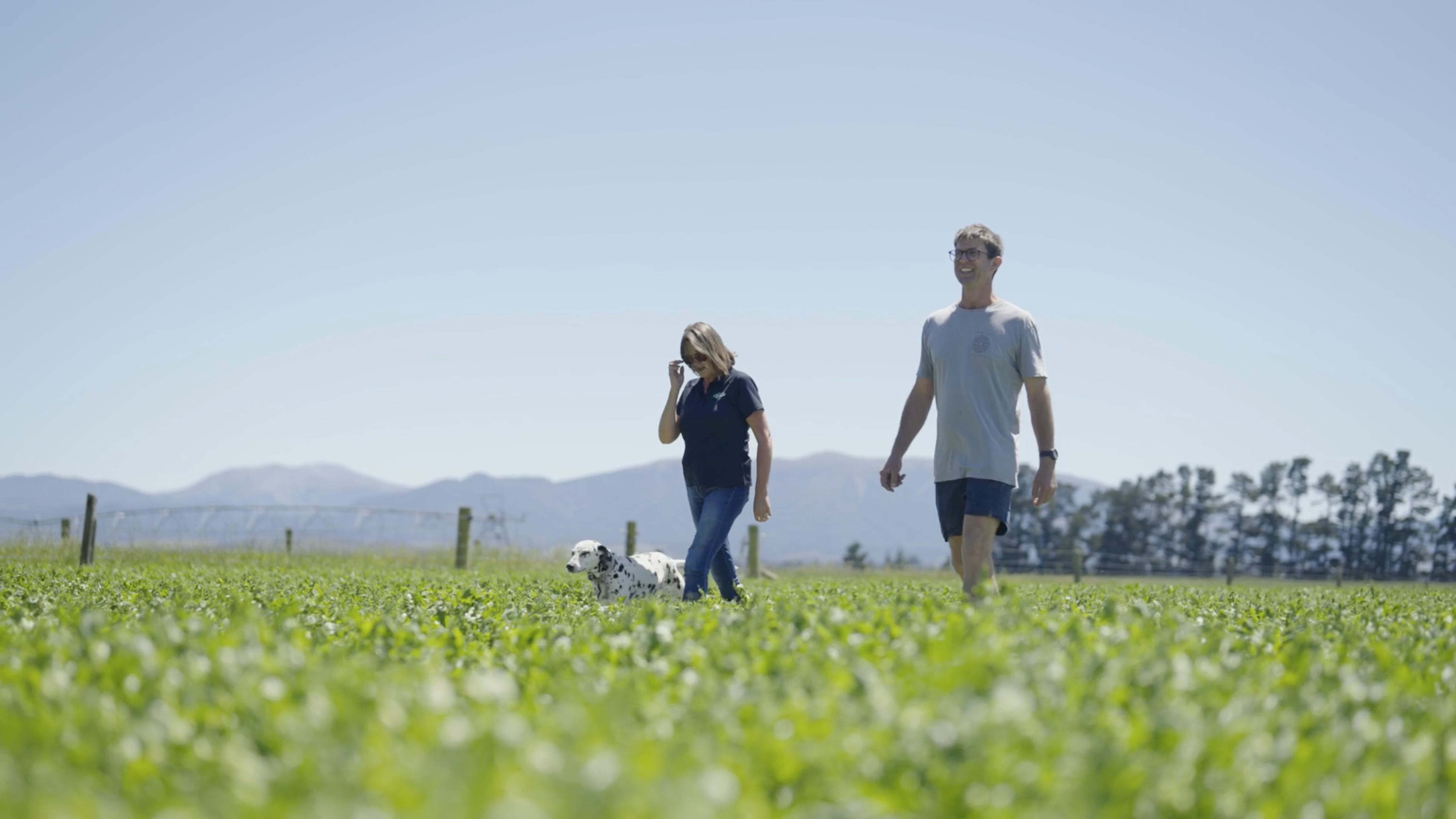 Two people walking with a Dalmatian dog through a green field, with mountains and trees in the background under a clear blue sky.