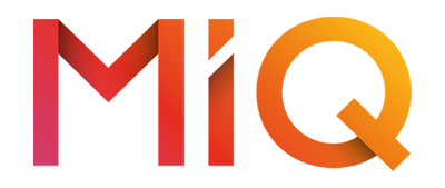 The VIS logo features a gradient design in red, orange, and yellow colors.