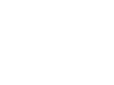 White transparent NVIDIA logo with the NVIDIA wordmark and eye symbol.