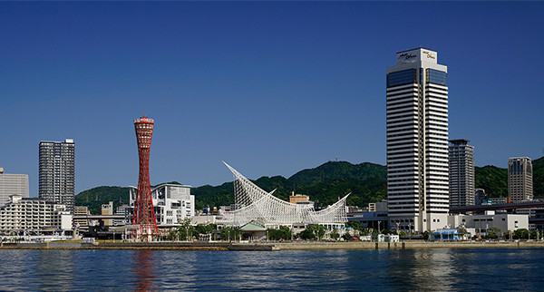 Missing alt text value