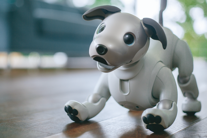 A robotic dog toy with a metallic appearance is positioned on a hardwood floor in a home setting, with a blurred background. The toy features expressive eyes and articulated limbs, resembling a playful dog.