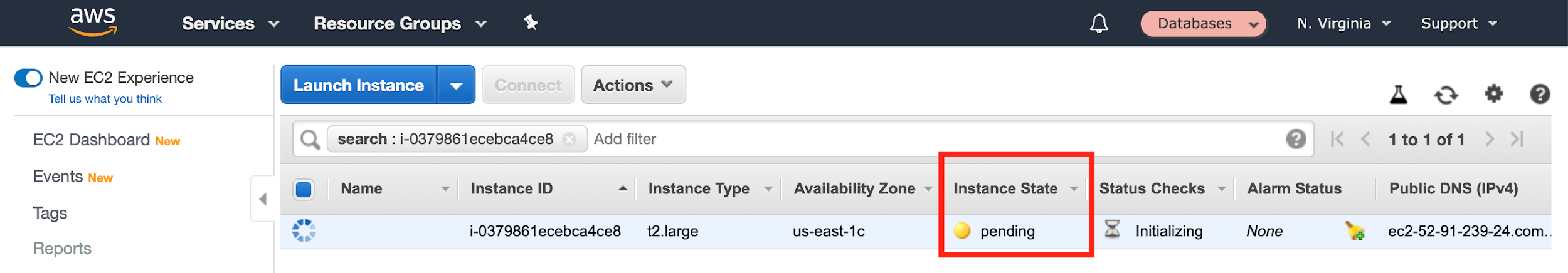 Wait until the "Instance State" shows "running"