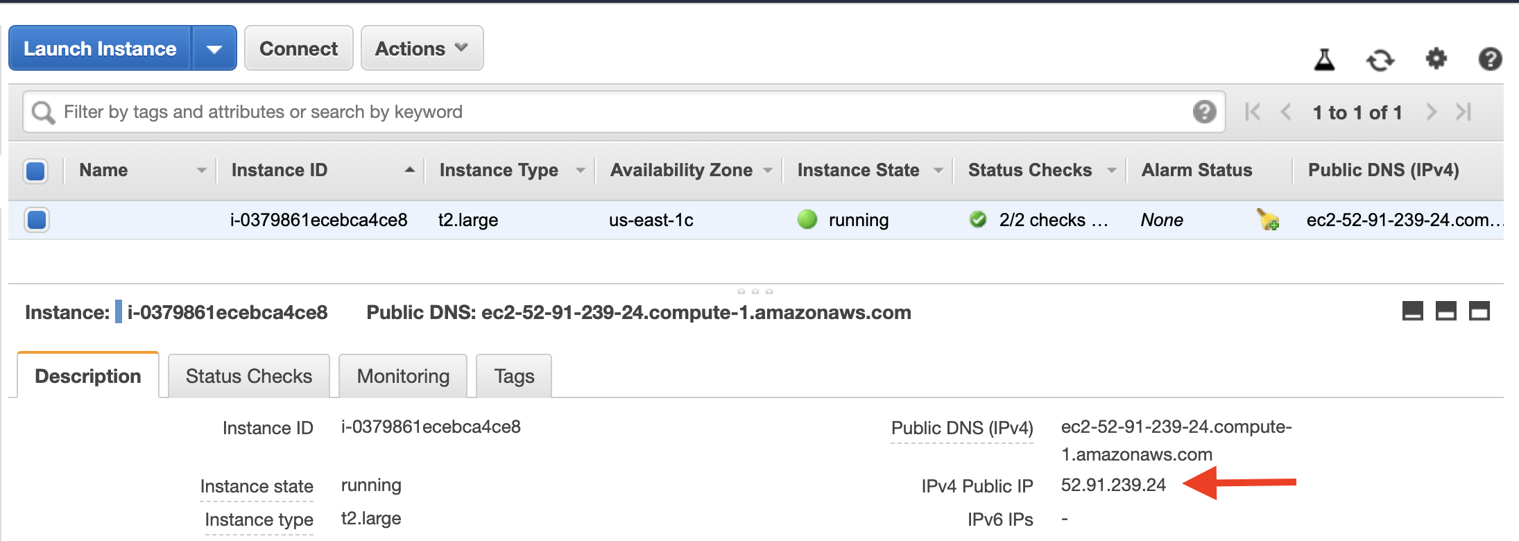 Copy the "IPv4 Public IP" address of your Amazon EC2 instance
