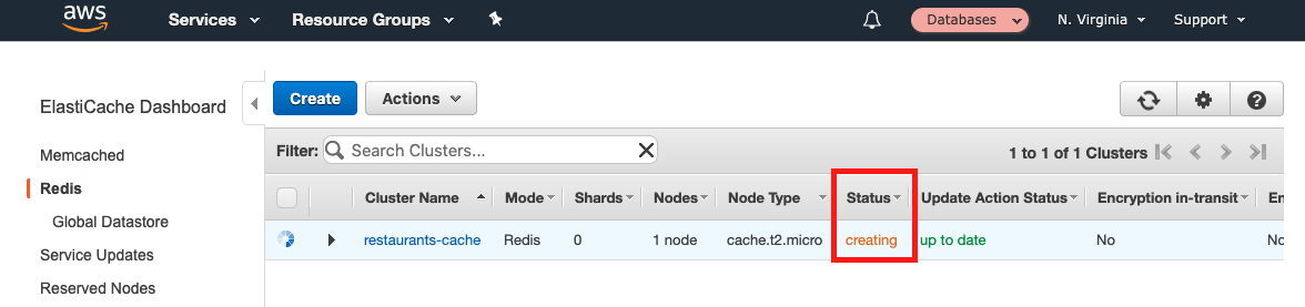 While your instance is being created, it shows a "Status" of "creating"