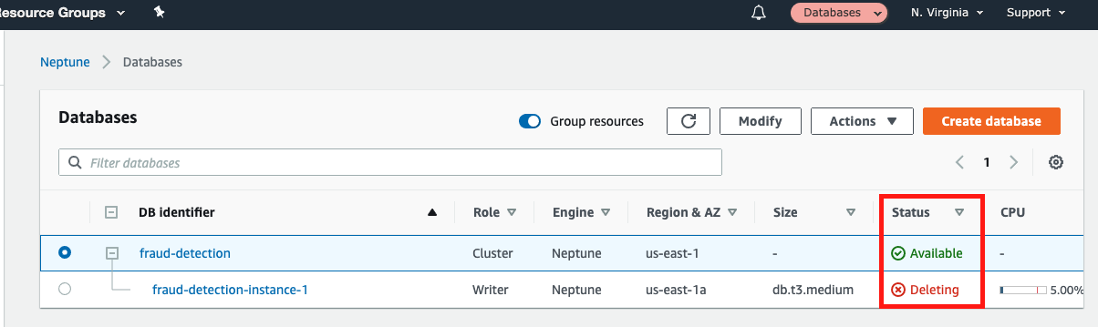 The Neptune page showing that your "Writer" instance is being deleted