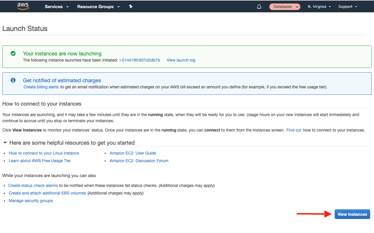 Choose "View Instances" to see your Amazon EC2 instance