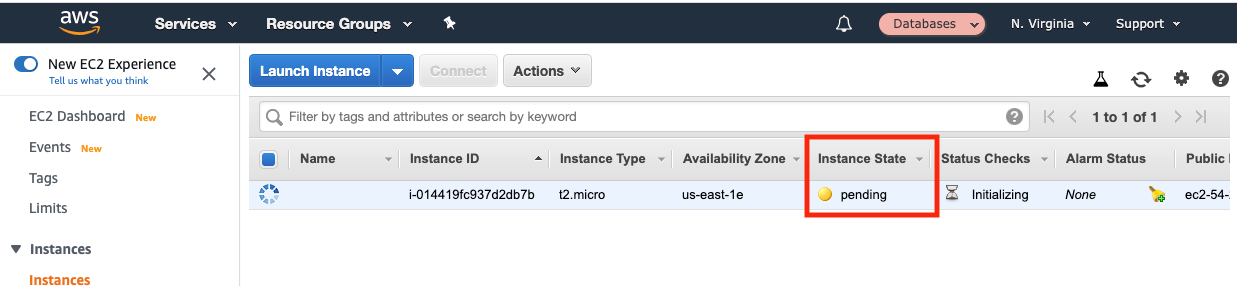 Wait until the "Instance State" shows "running"