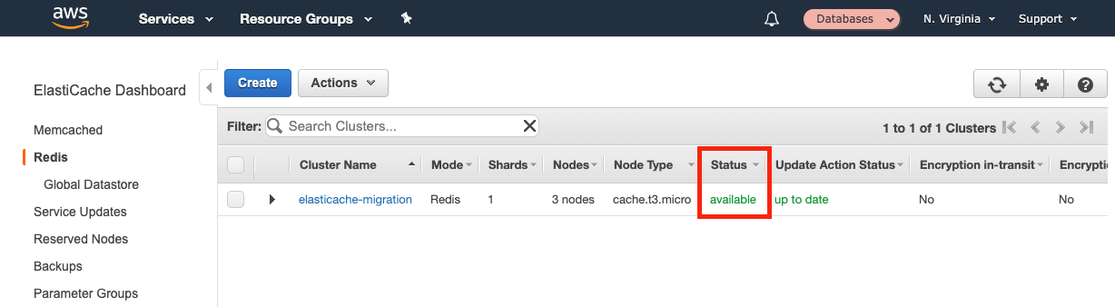 When your cluster has a "Status" of "available", you are ready to move on to the next module