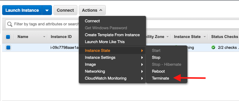 Choose your Amazon EC2 instance, and then choose "Instance State" > "Terminate"