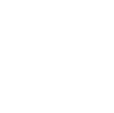money icon