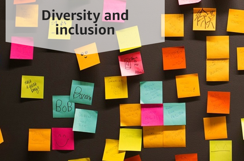 aws diversity